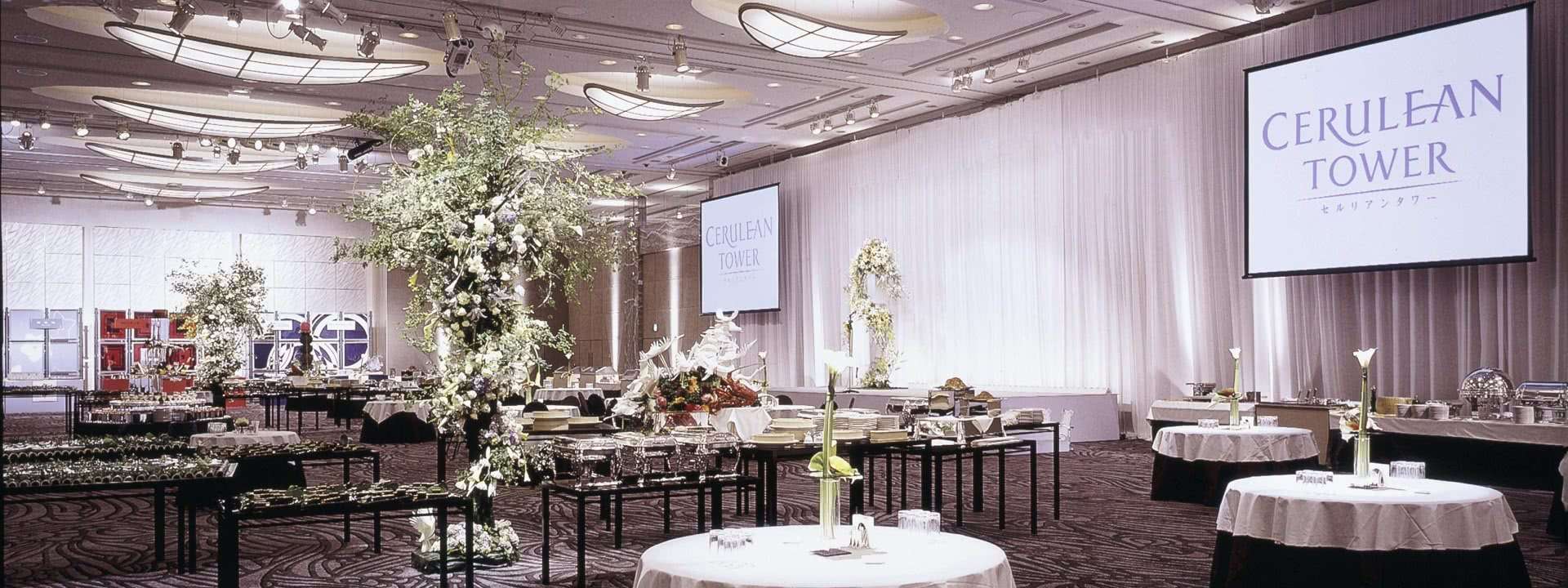 Banquet/Conference Room "Ballroom": Full-Span Dinner