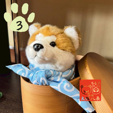 EXPLORE SHIBUYA | 渋谷駅すぐ セルリアンタワー 東急ホテル【公式】