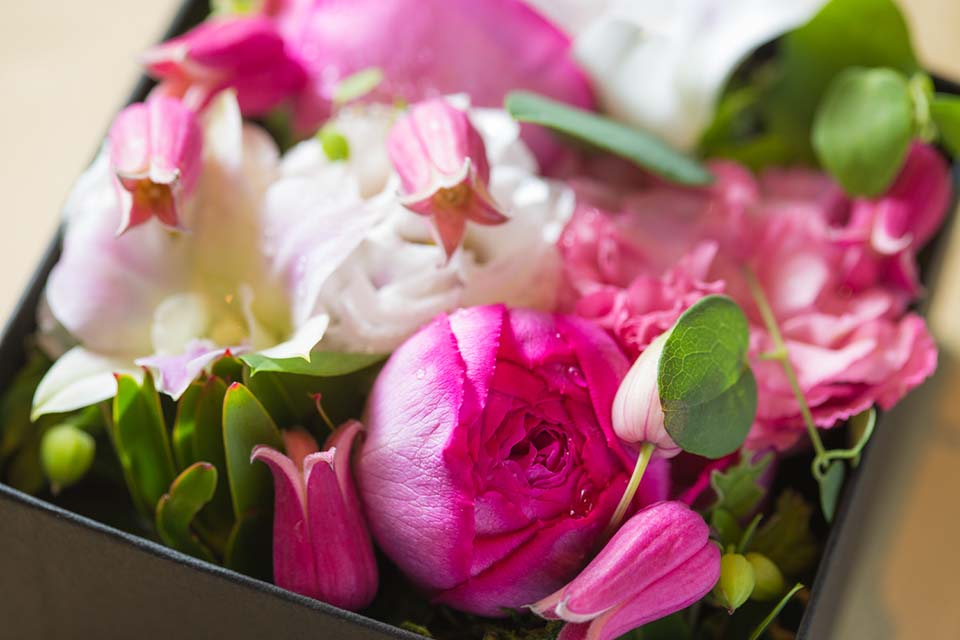 1日1組限定 スペシャルアニバーサリープラン 地下鉄 中洲川端駅 徒歩1分 博多エクセルホテル東急 公式