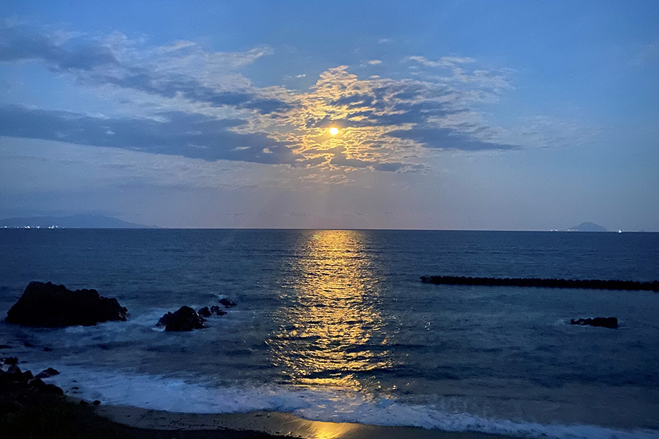 ムーンロード 今井浜海岸駅 徒歩3分 伊豆今井浜 東急ホテル 公式
