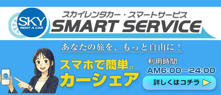Sky Rental Car Smart Service