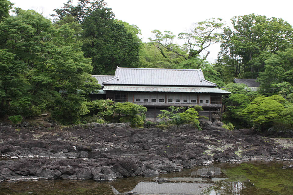 エリア：三島・伊豆