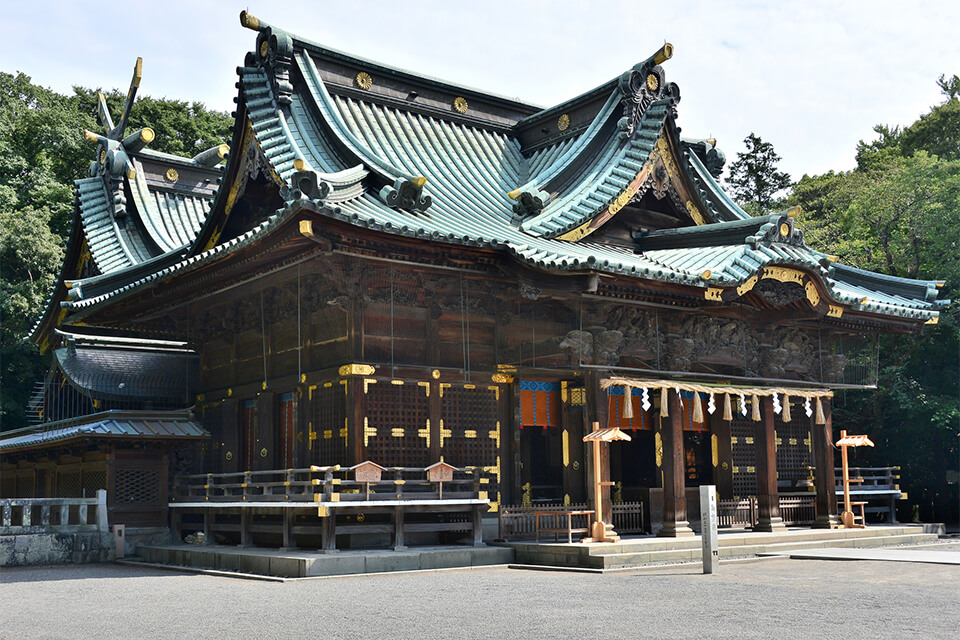 エリア：三島・伊豆