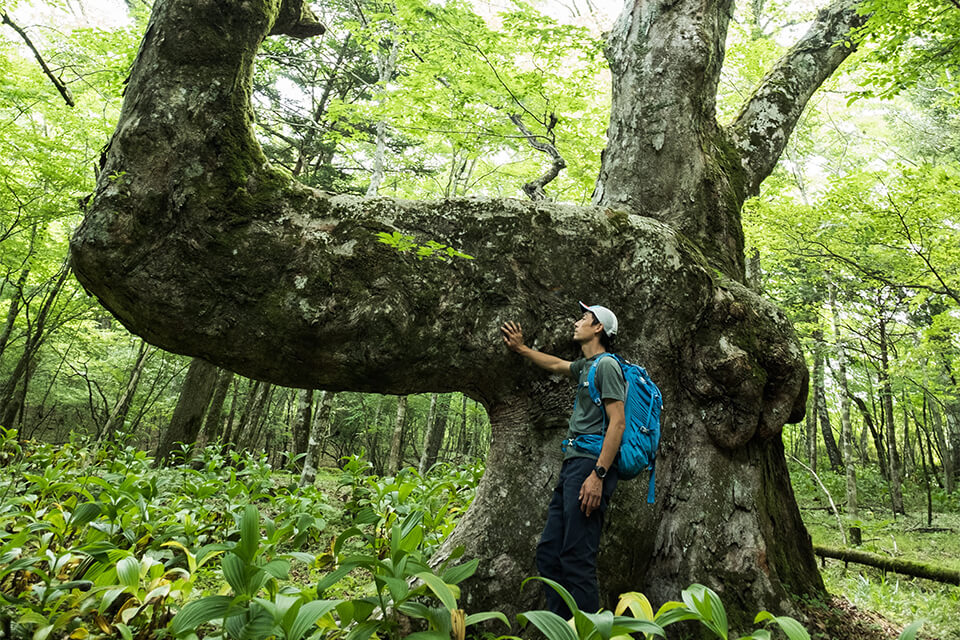 エリア：富士・御殿場