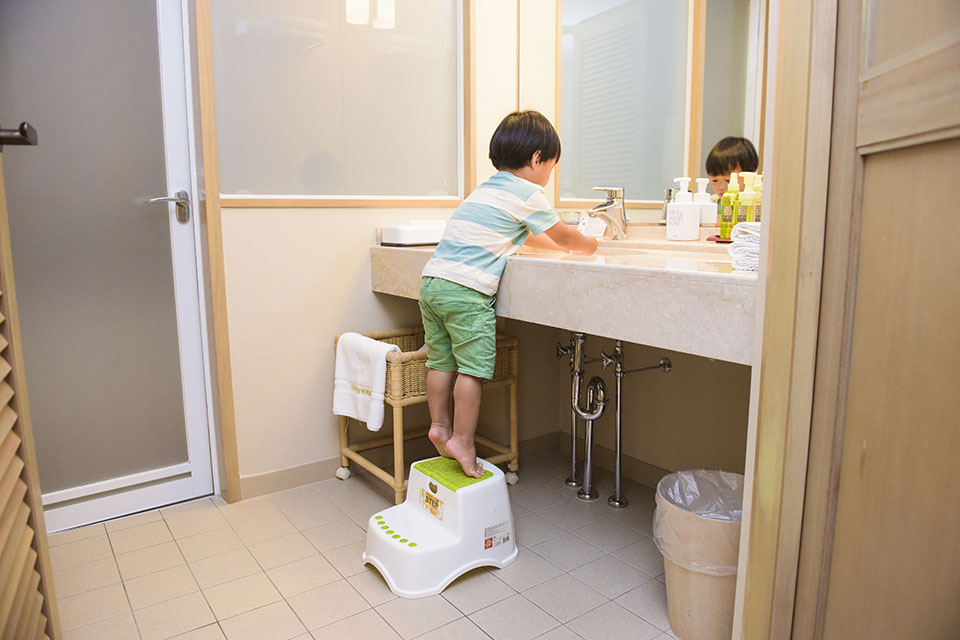 Bathroom steps