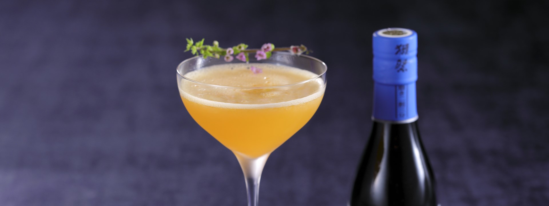 옥제×FONTANA DI TREVI