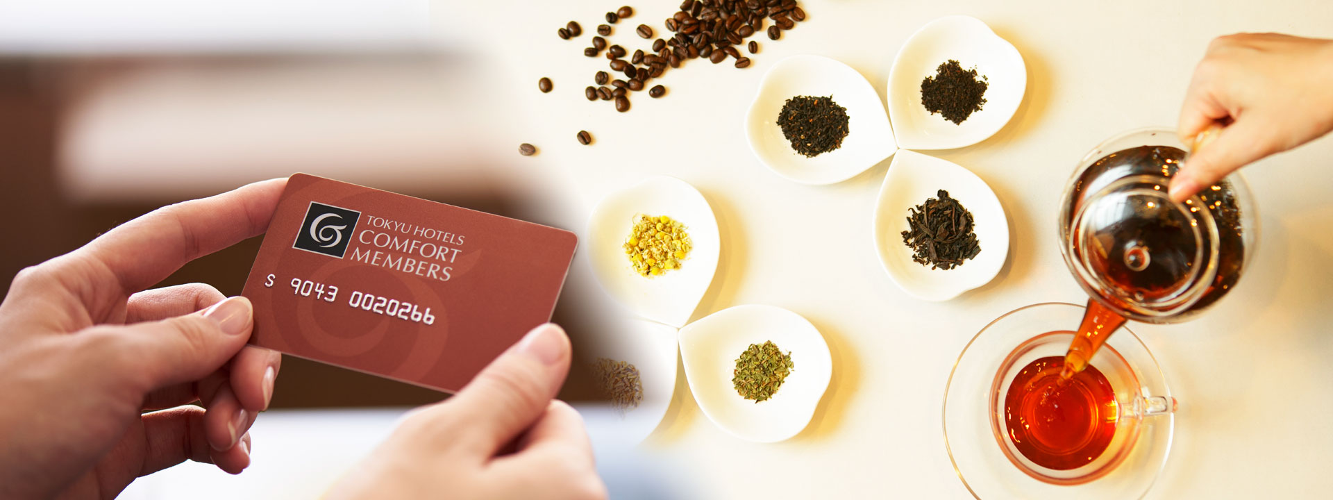 COMFORT MEMBERS会员专享服务