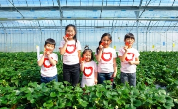 刚采摘的草莓，新鲜又甜甜！