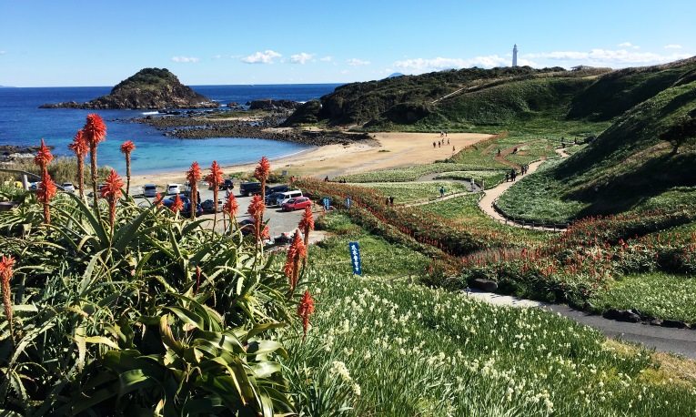 真冬の岬に瑞々しく群生する300万本の野水仙 伊豆下田の海を望む絶景リゾートホテル 下田 東急ホテル 公式