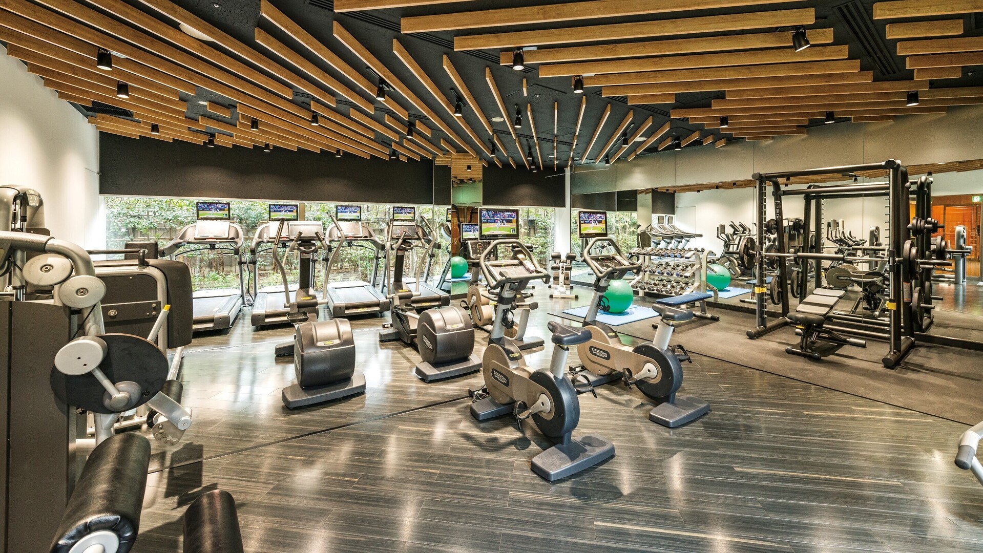 JAL Miles