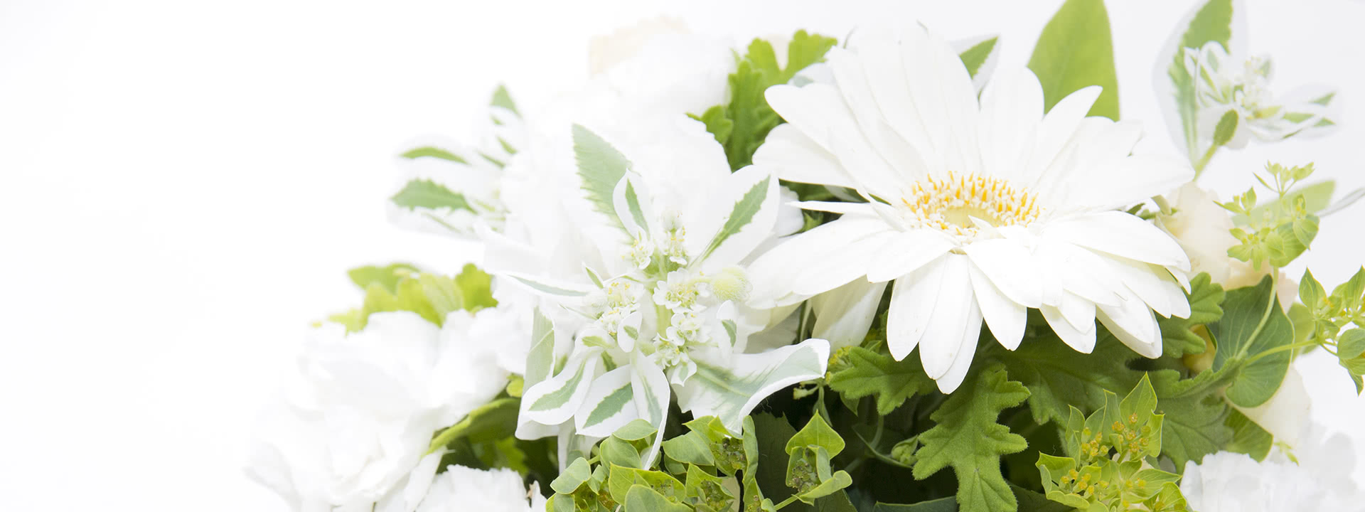 お別れの会ご提案