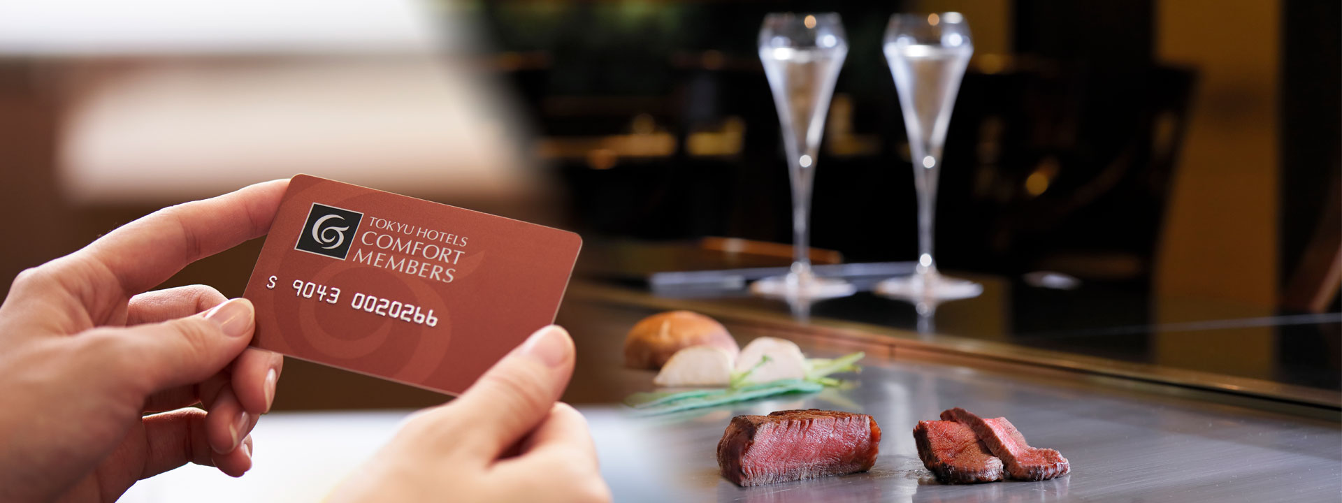 COMFORT MEMBERS 회원 전용 서비스