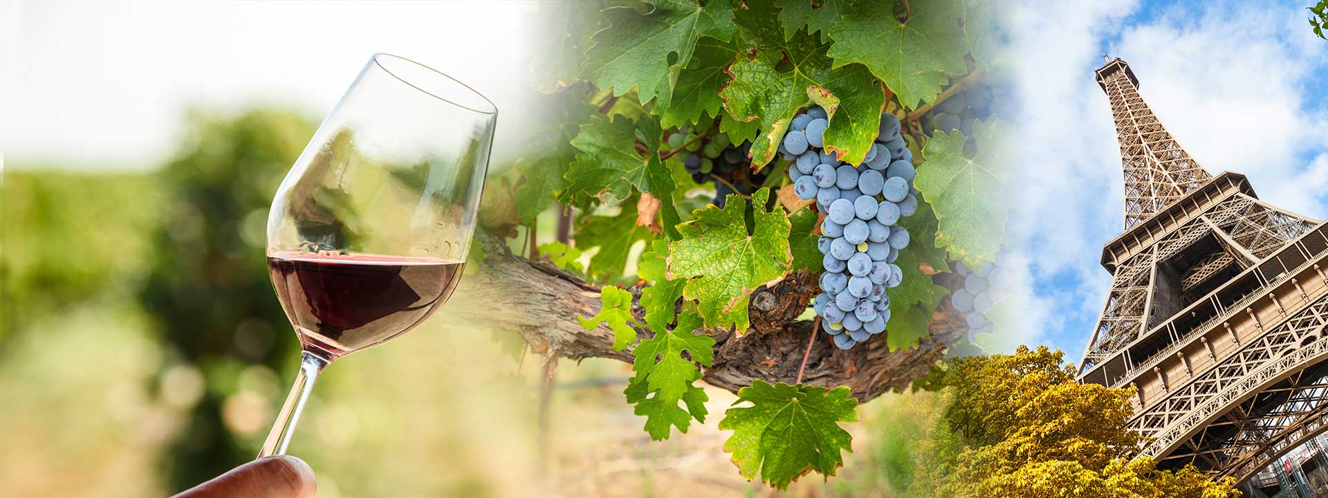 ワイン フリーフロープラン 「Fête d Ete ～フェット・デテ～」