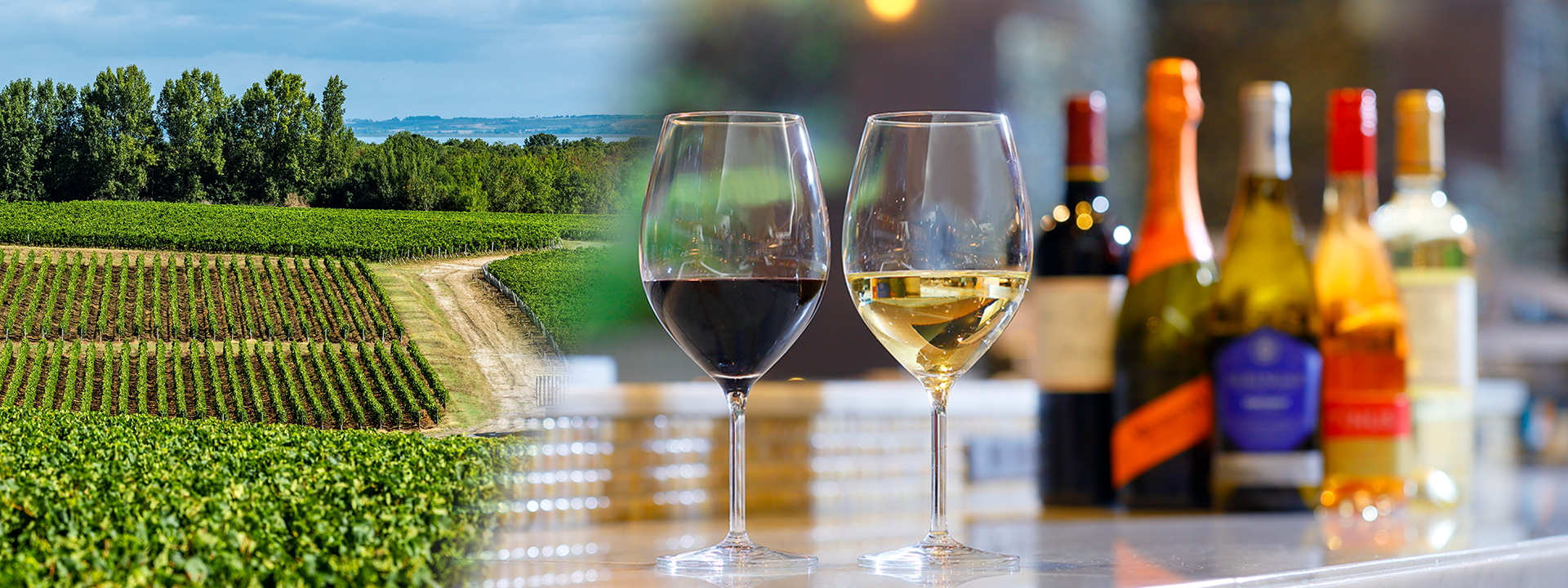 Free-flow wine plan "Faire la fête"